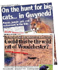 Recent Reports of Big Cats in the U.K